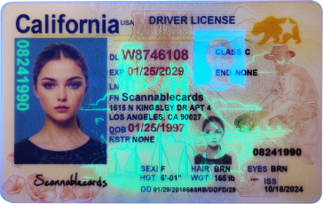 IMG_20250322_102359.psd